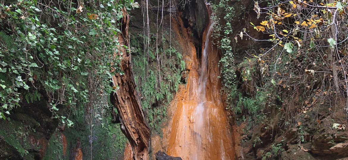 fuente-agria