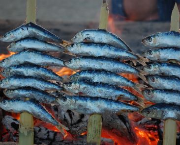 gastronomia-torredelmar