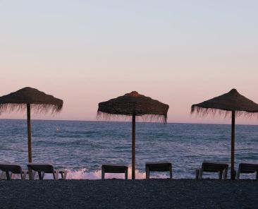 torrox